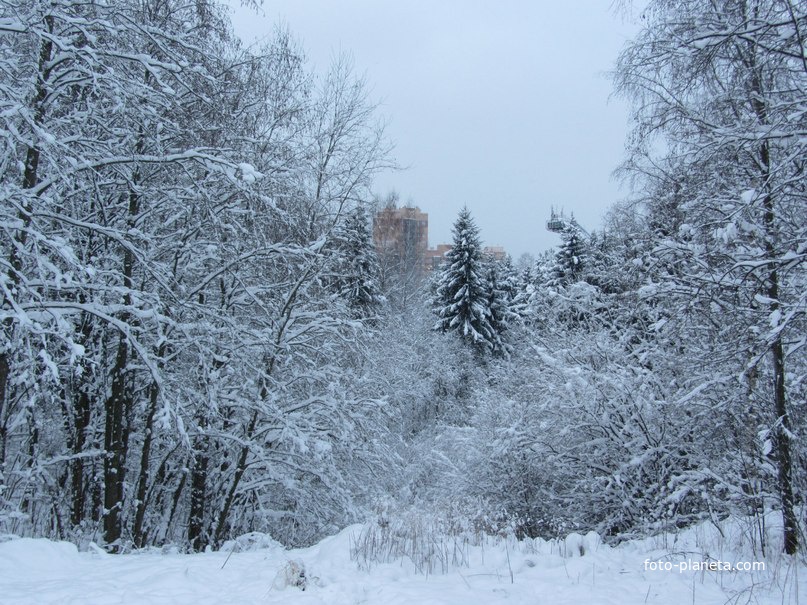 Всеволожск