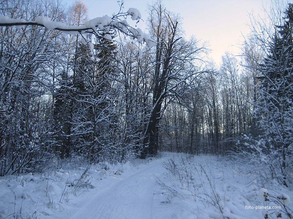 Фермский парк