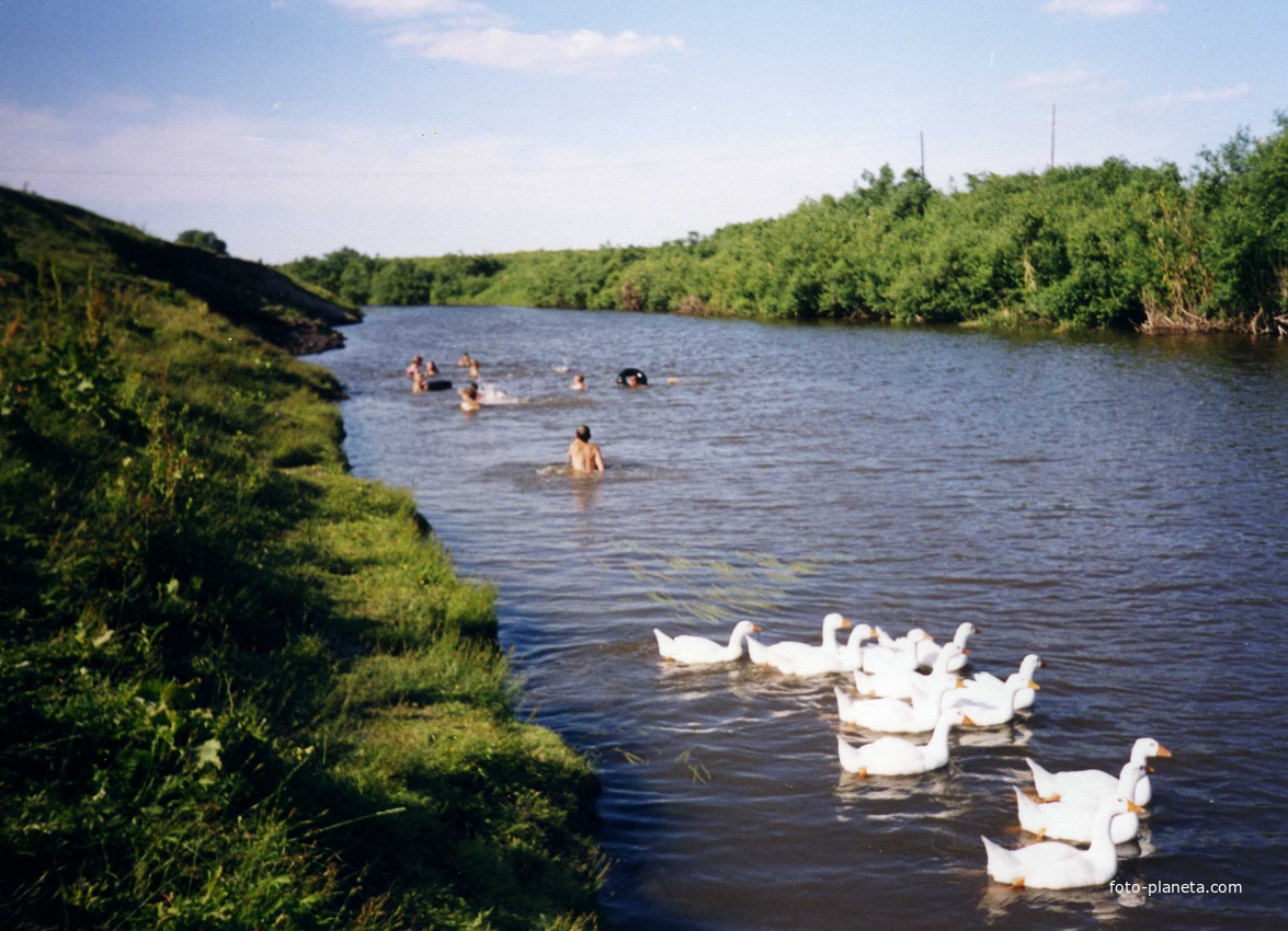 На реке Карасук