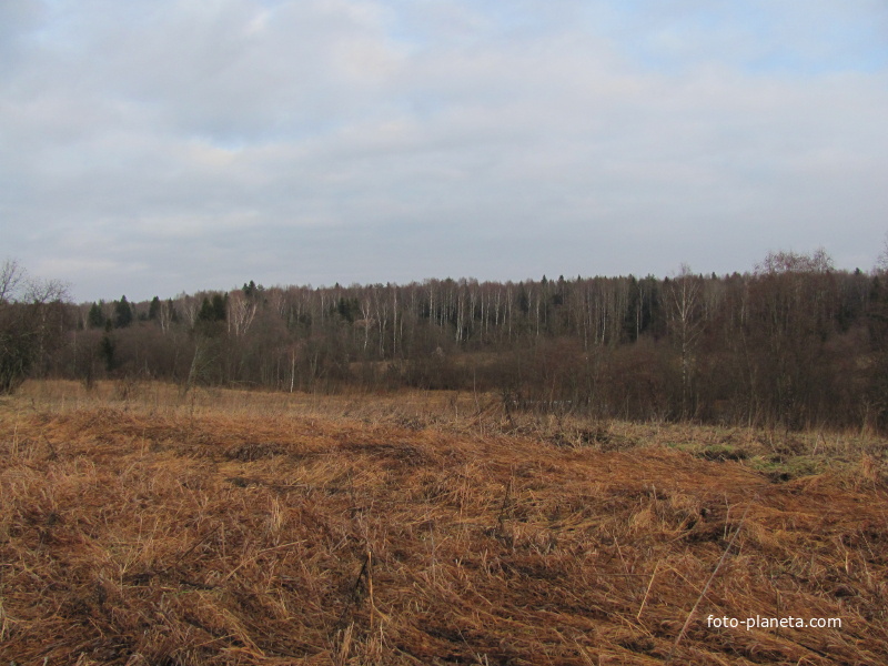 урочище Константиново, осень 2012 года, вид за ручей в направлении д.Кисарино.