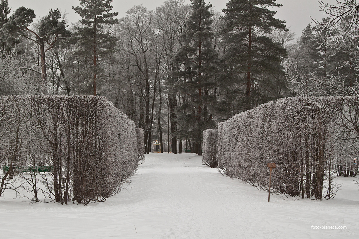 Александровский парк