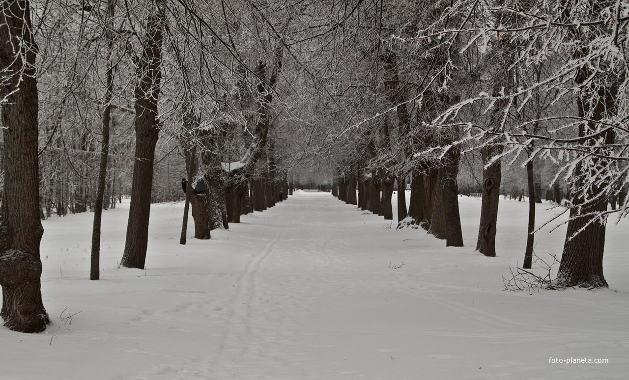 Александровский парк