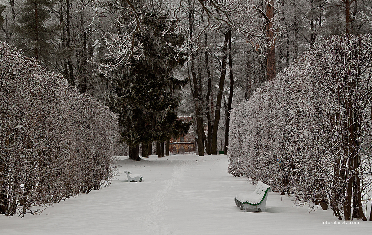 Александровский парк