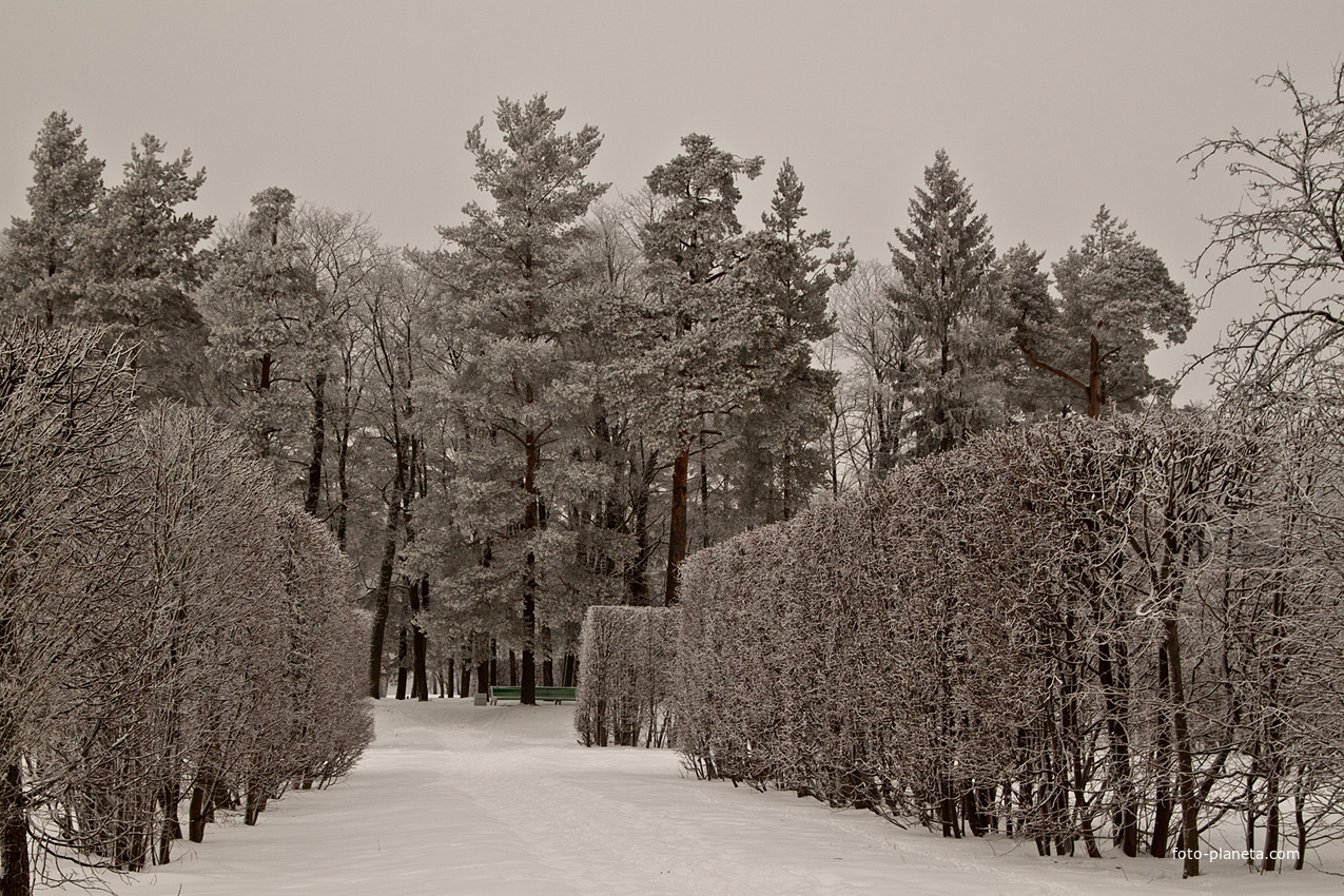 Александровский парк