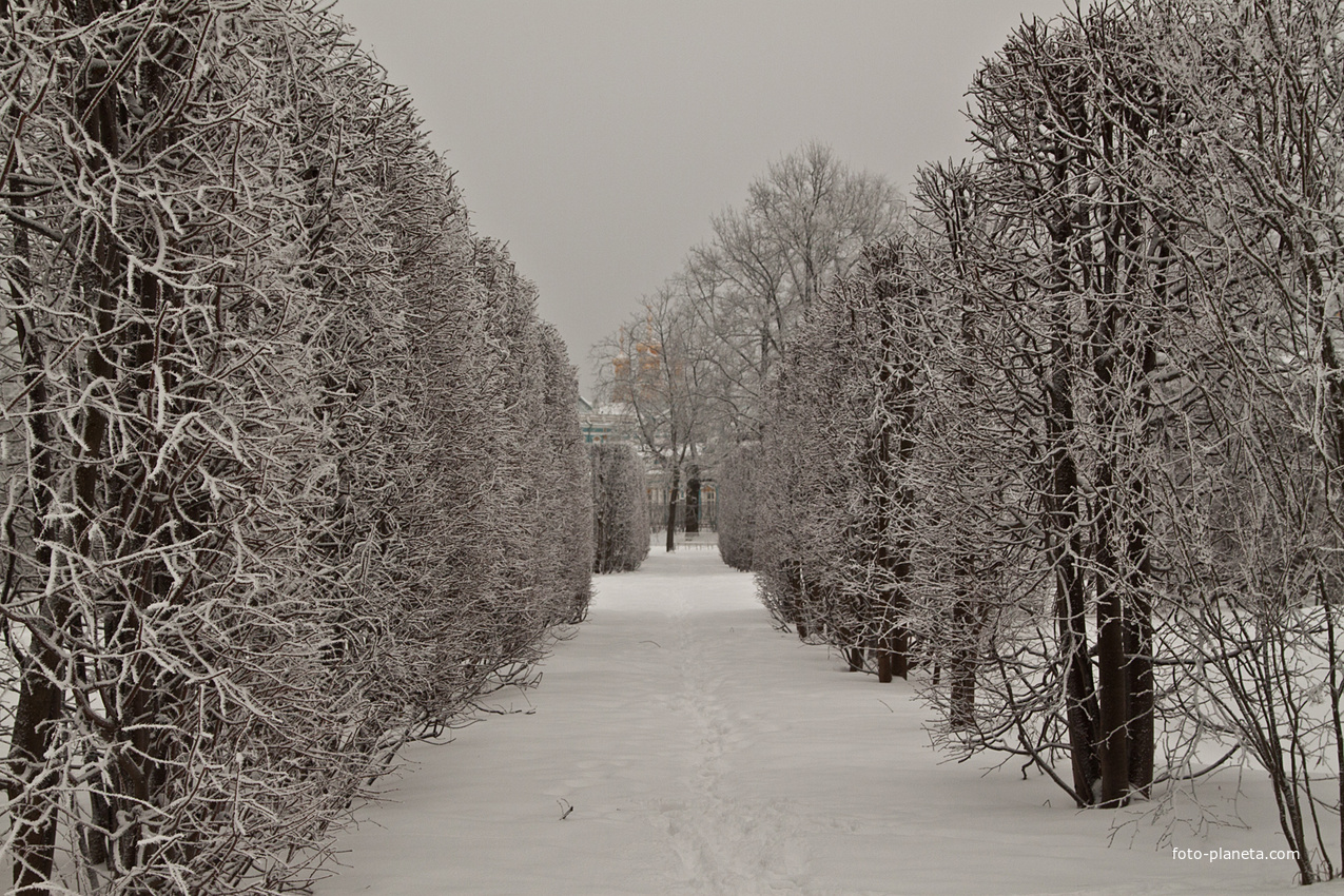 Александровский парк