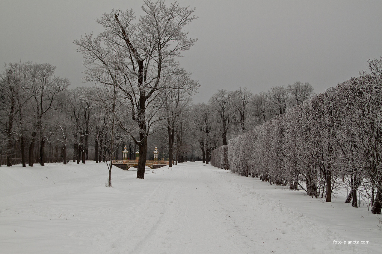 Александровский парк
