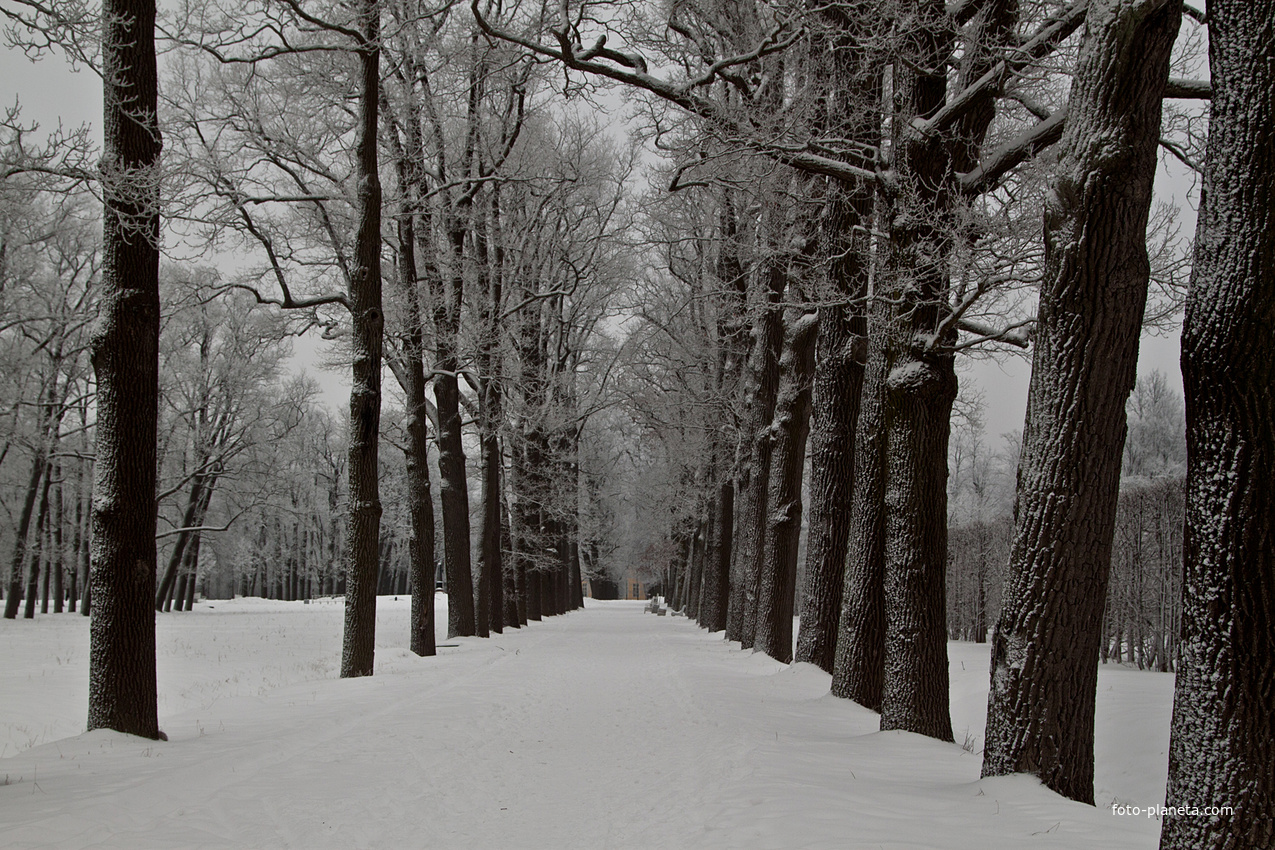 Александровский парк