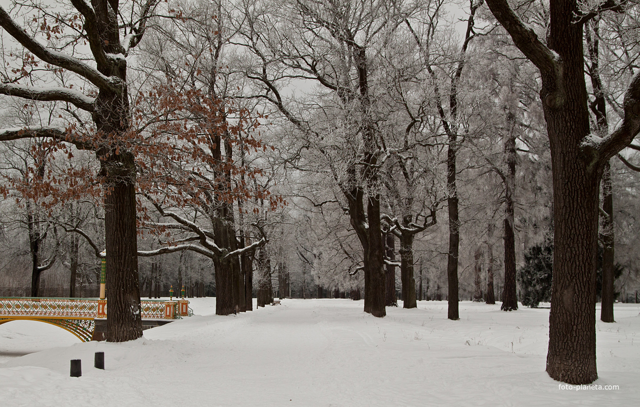 Александровский парк