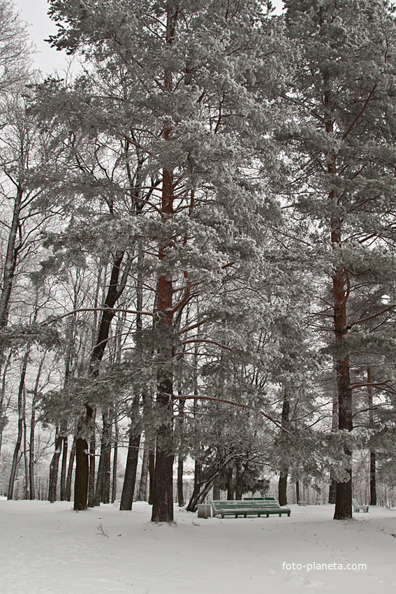 Александровский парк