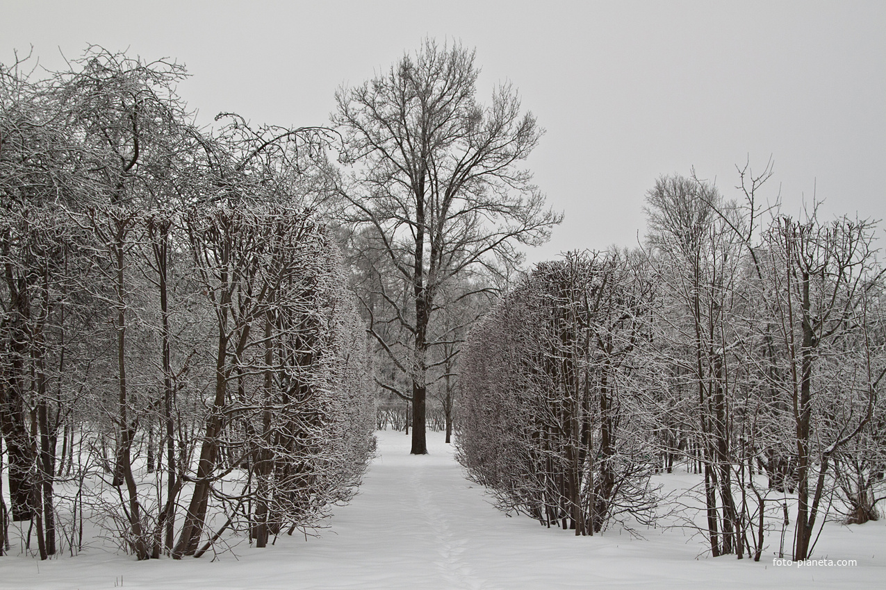 Александровский парк
