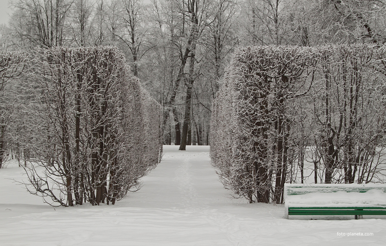 Александровский парк
