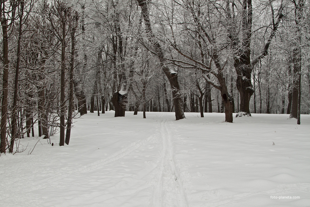 Александровский парк