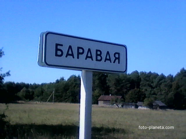 Дорога со стороны д.Достоево