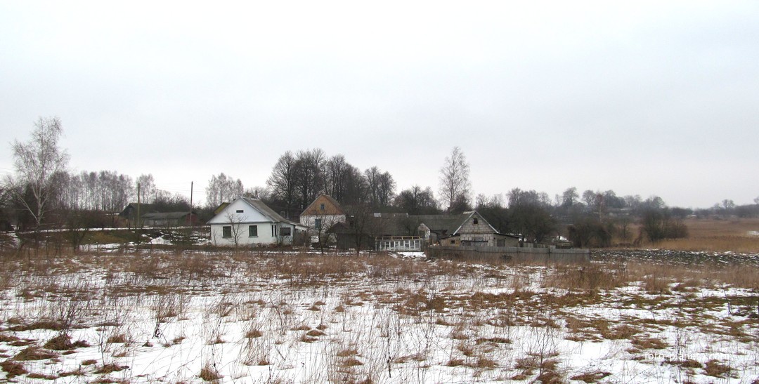 Дома деревни Шустики.