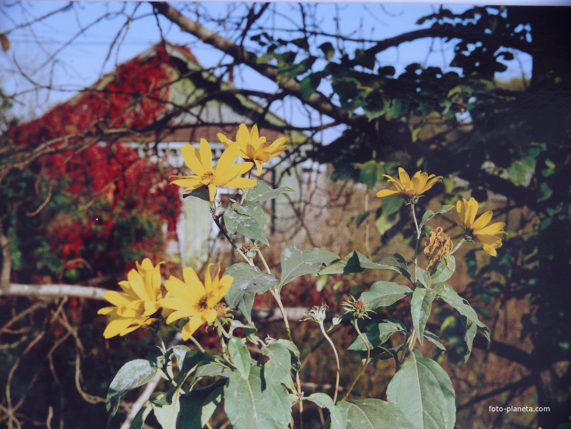 Первый дом при въезде в Семёновку.