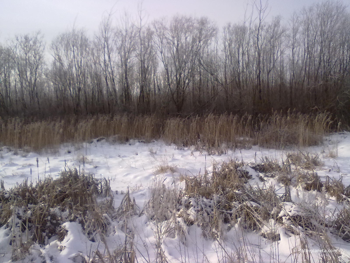 Январь 2013 года