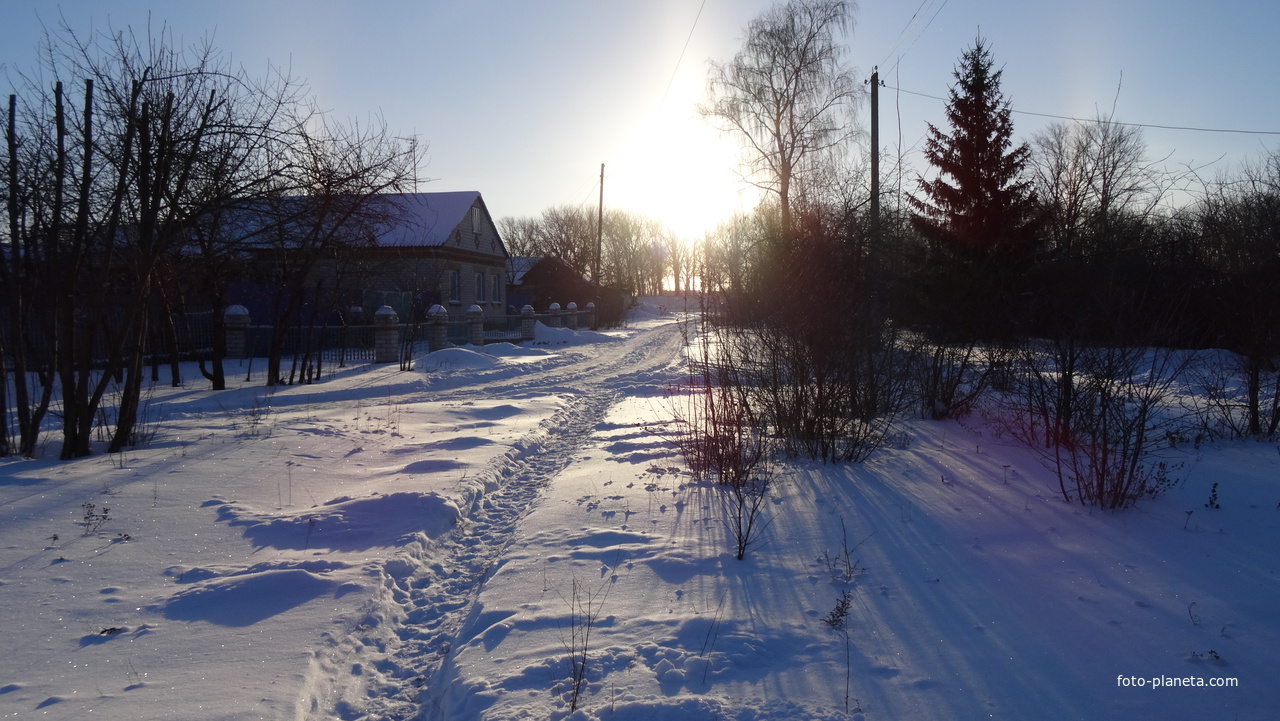 В январе 2014 г. в  поселке Солнцево минус 23.