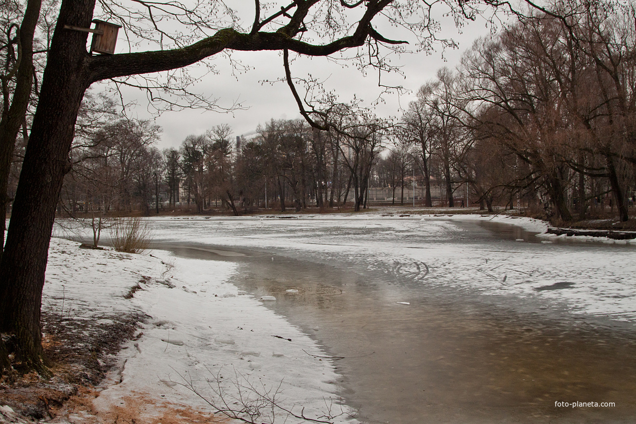 3-й Северный пруд