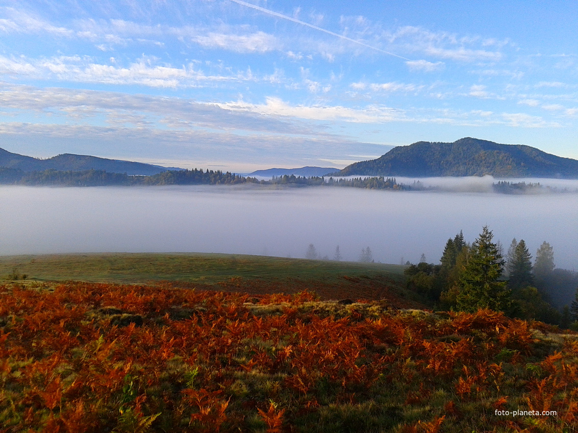 Ранковий туман в либохорі