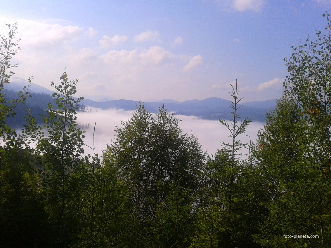 Ранковий туман