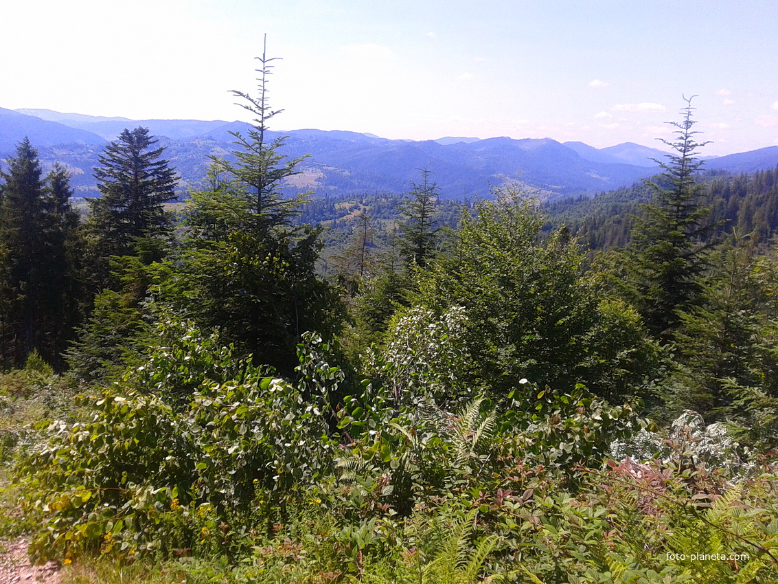 Либохора-Хітар