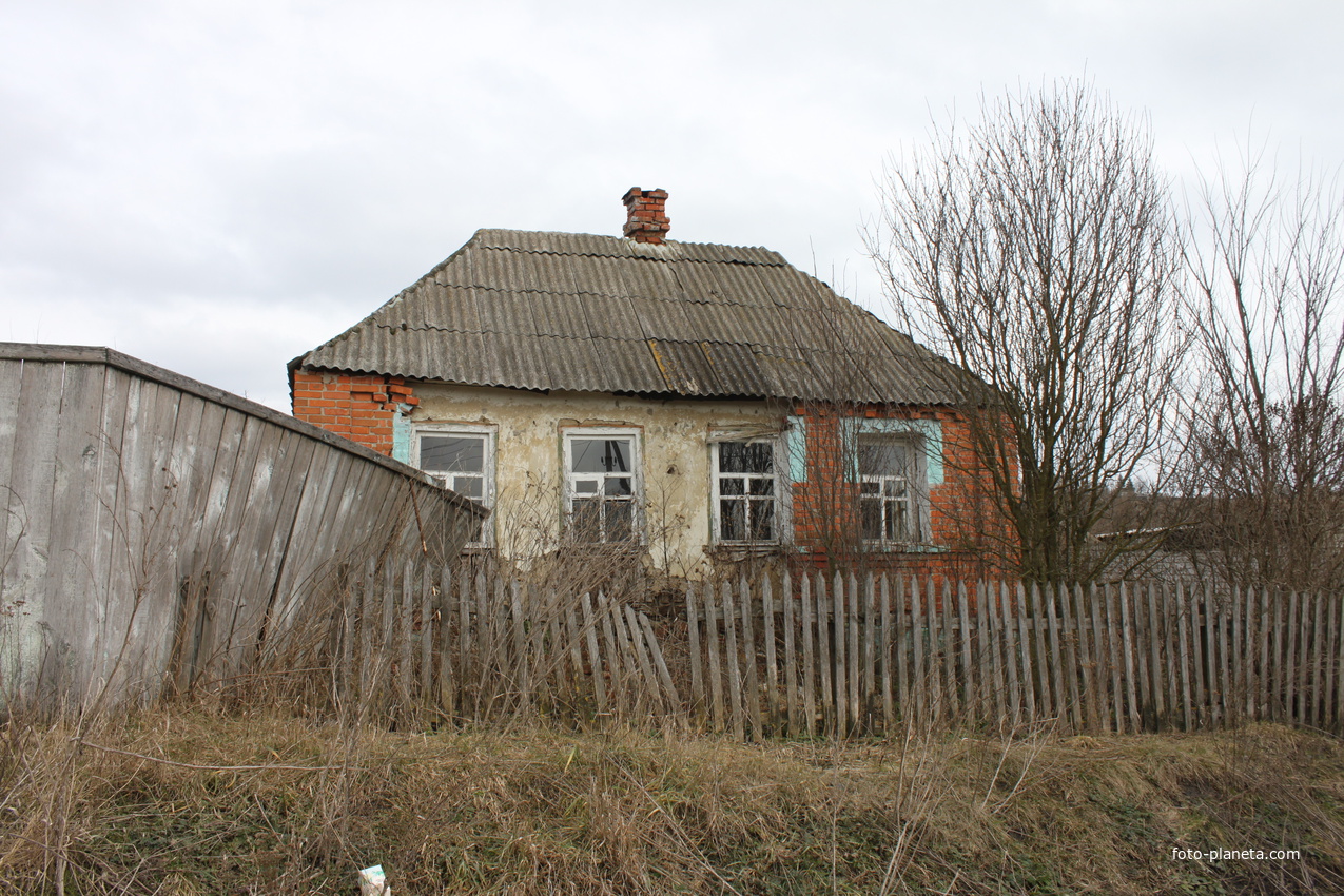 Хутор Волохов.