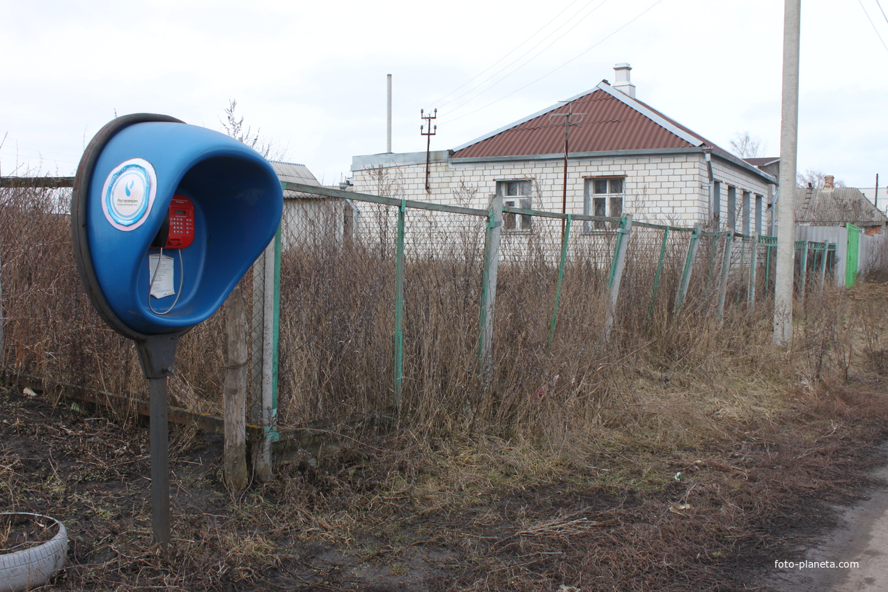 Хутор Волохов.