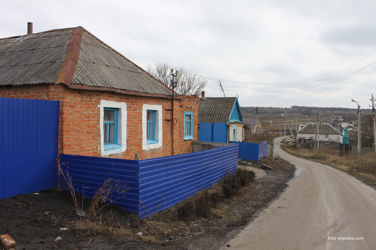 Хутор Волохов.