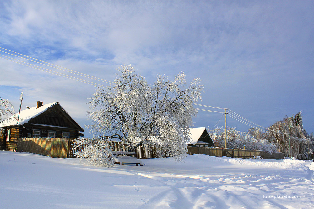 Зимний день в Кузьминке.