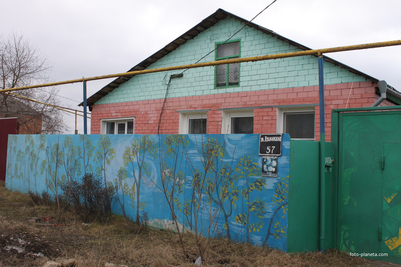 Пушкарное. Ул. Пушкарская, 57.