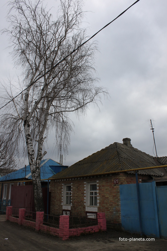 Пушкарное. Ул. Пушкарская, 61.