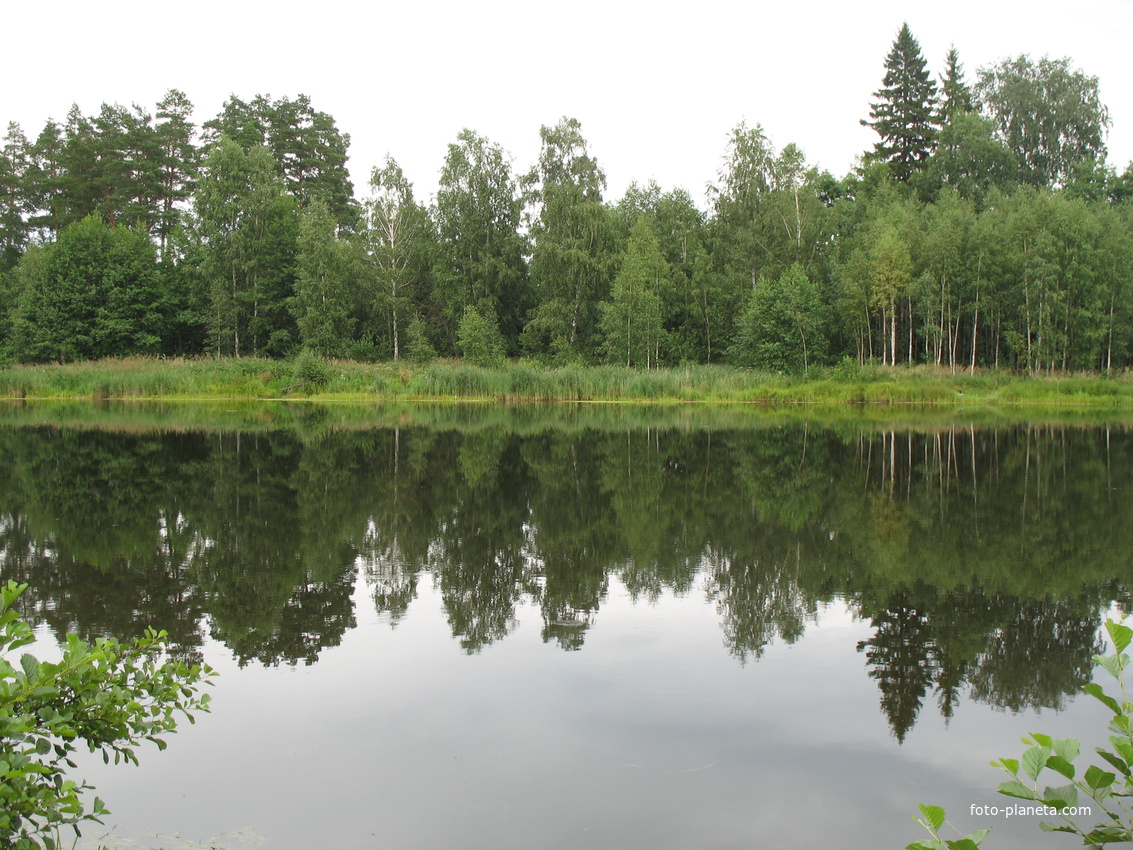 Середниково пруд