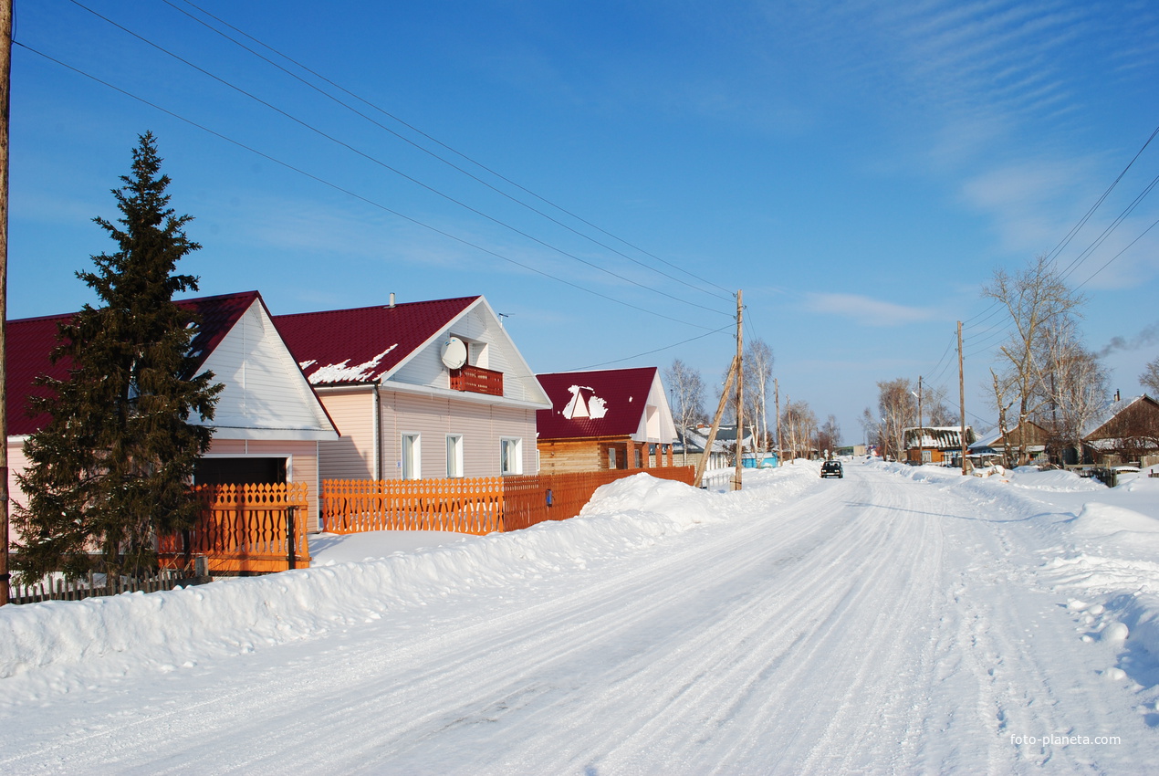 Кочки новосибирская область фото