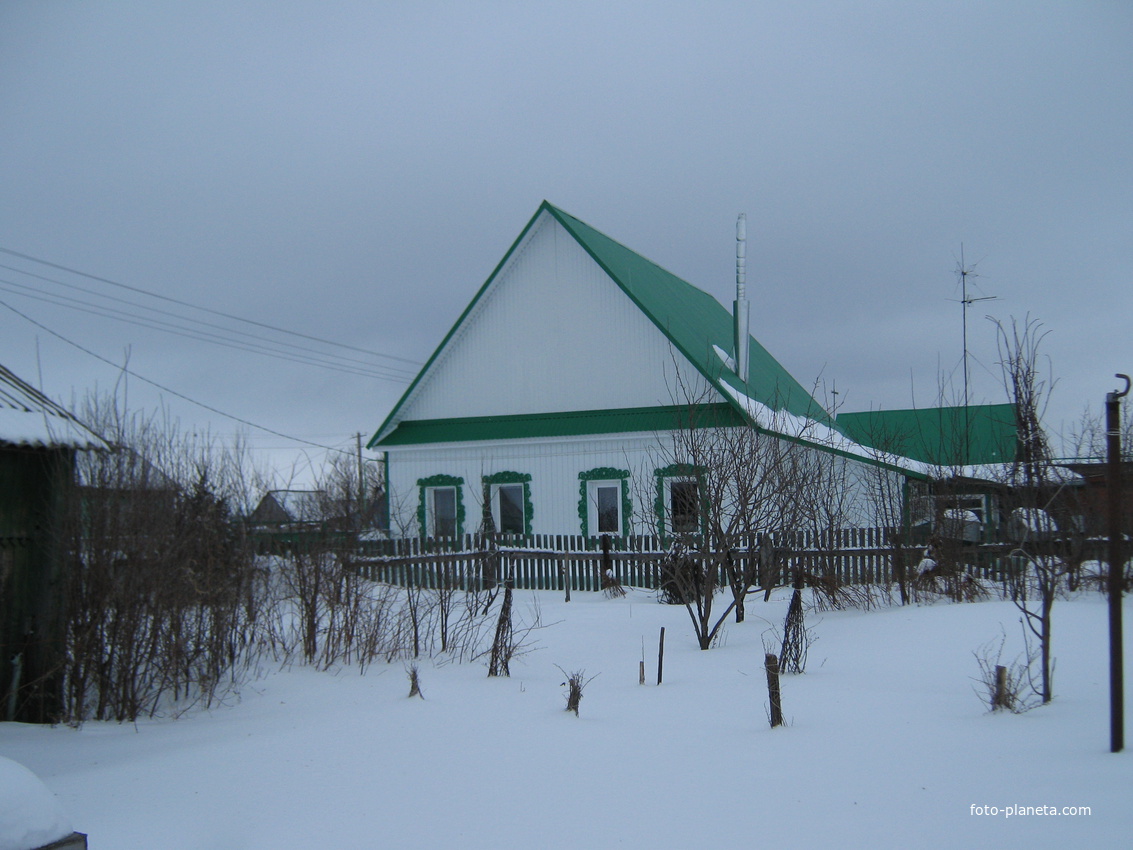 зима в деревне Карлы.
