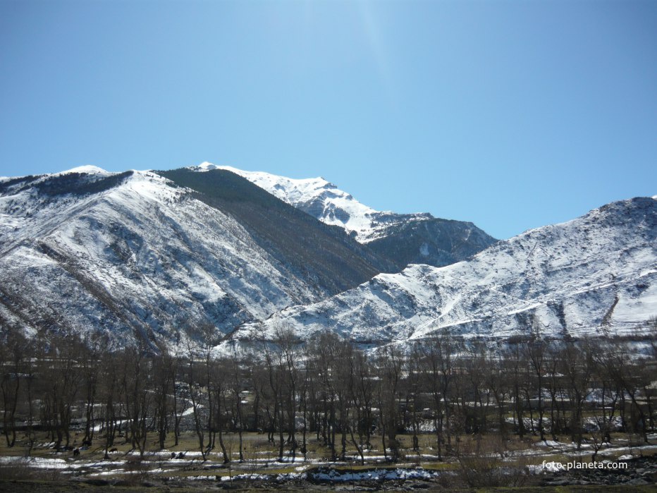 Знаменитая хлютская Тополиная роща на фоне зимних гор