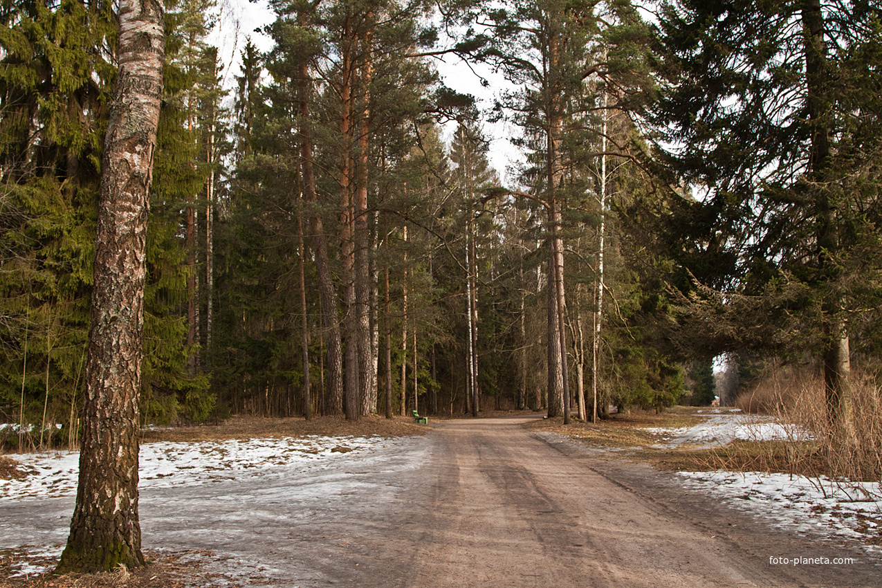 Павловский парк