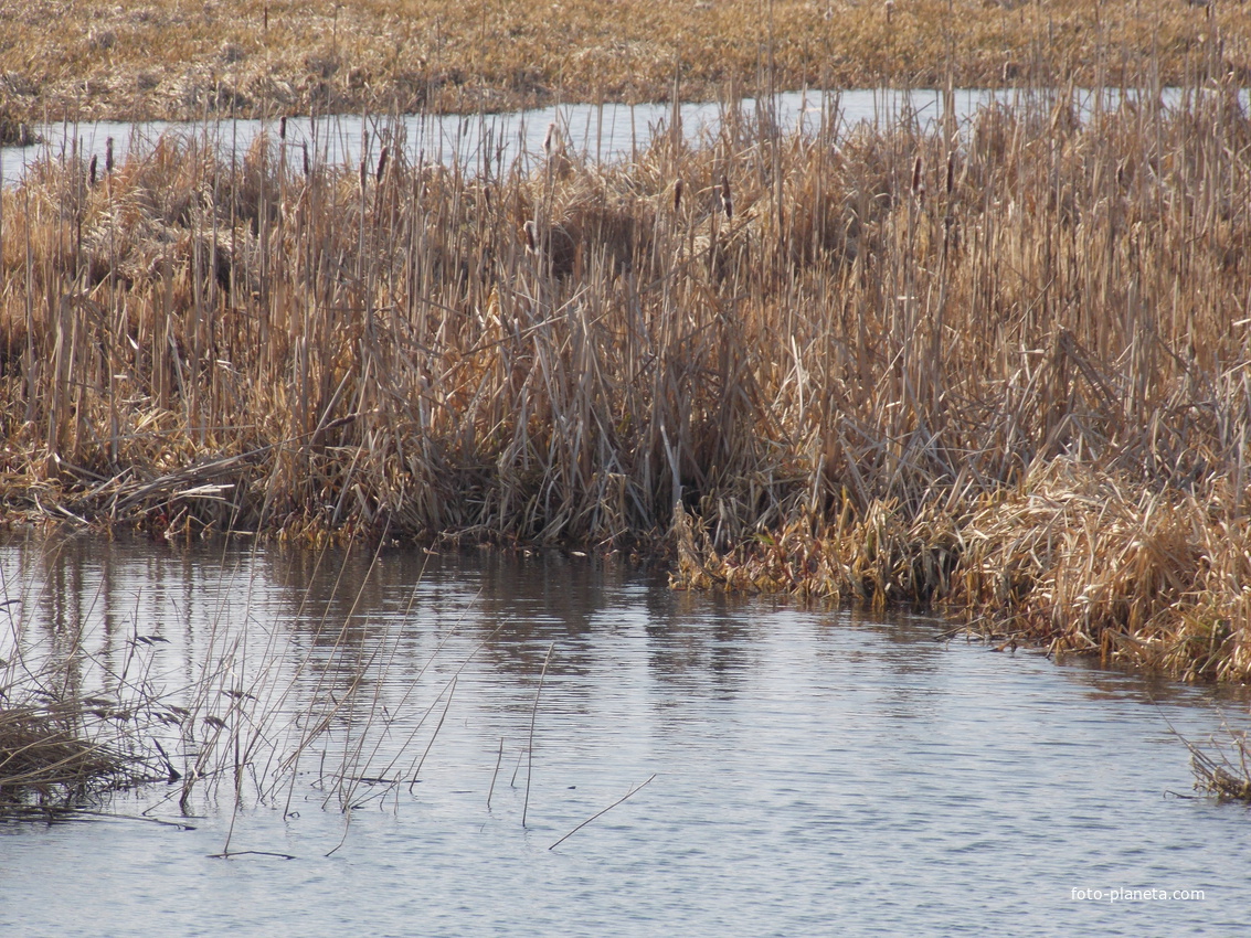 Щенятинські краєвиди