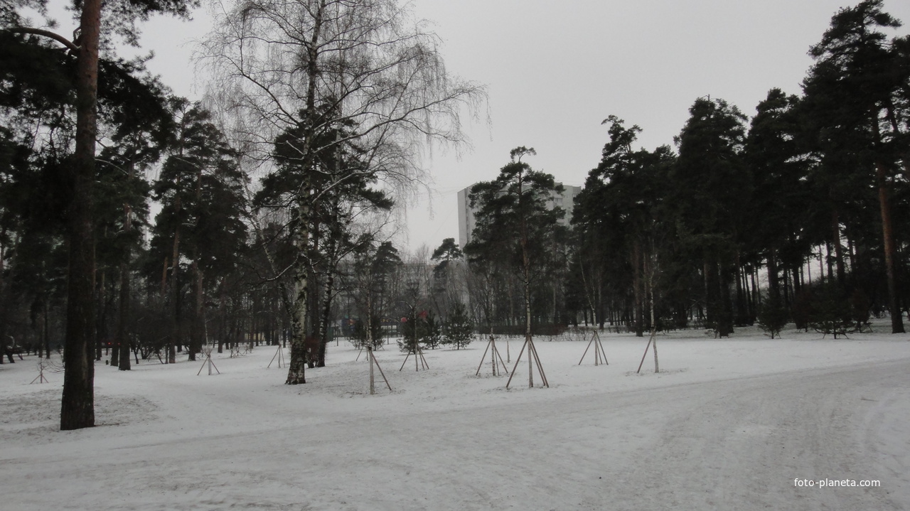 Парк Сосенки