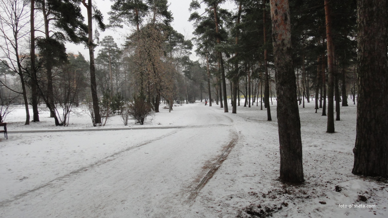Парк Сосенки