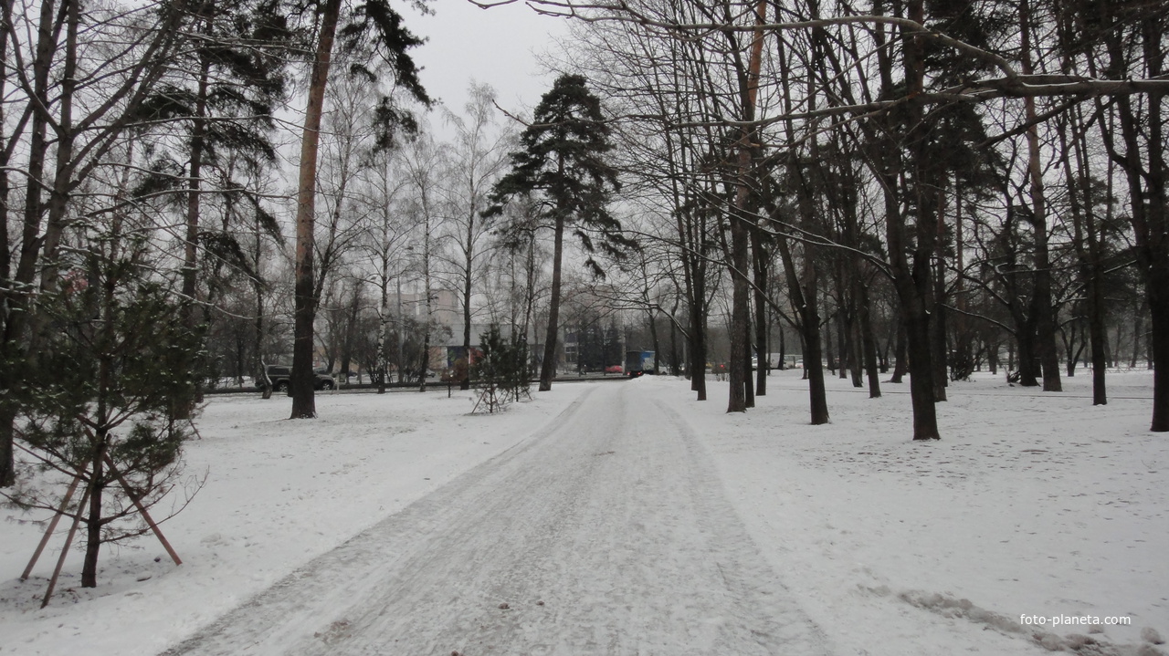 Парк Сосенки на Кавказком бульваре