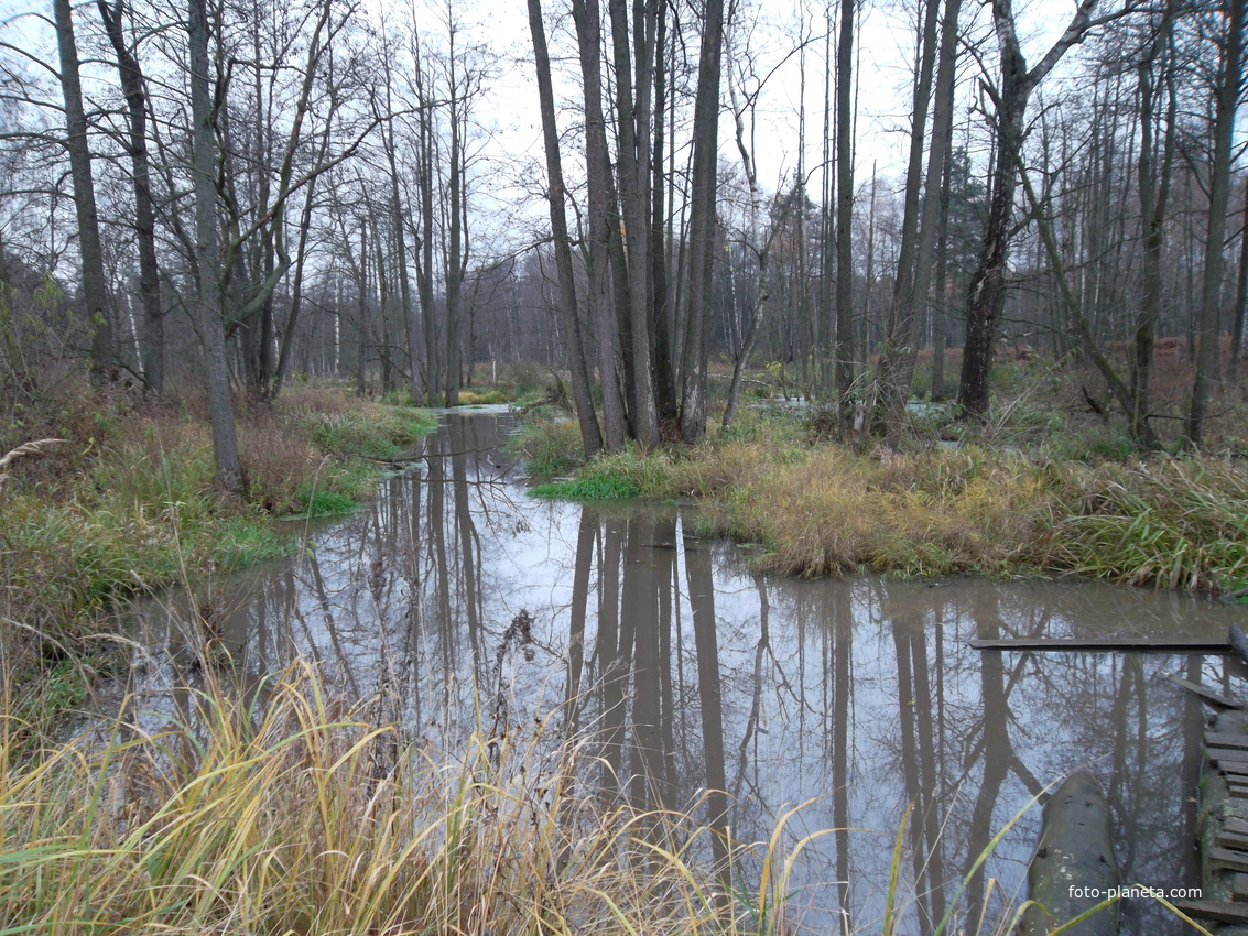 Речка Ольховка весной