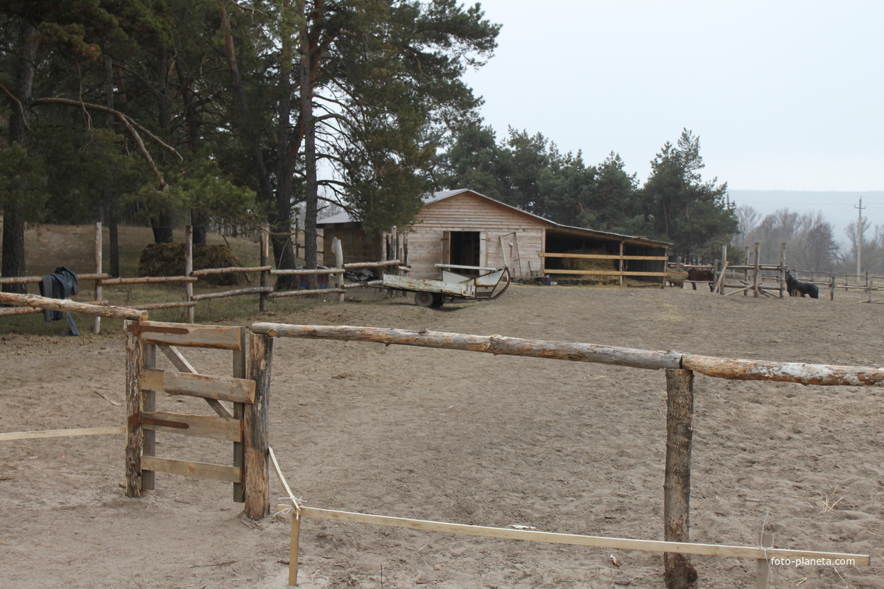 Казачий стан Сосновой