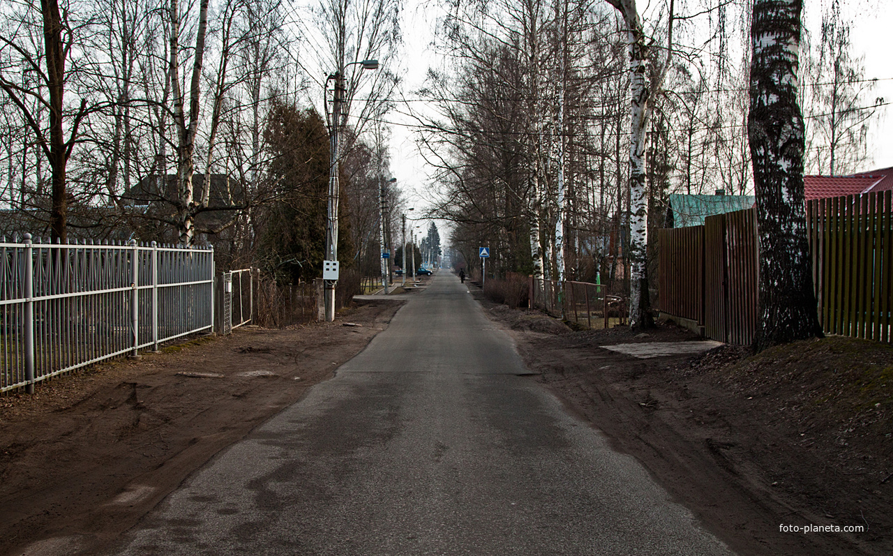 Улица Нововестинская