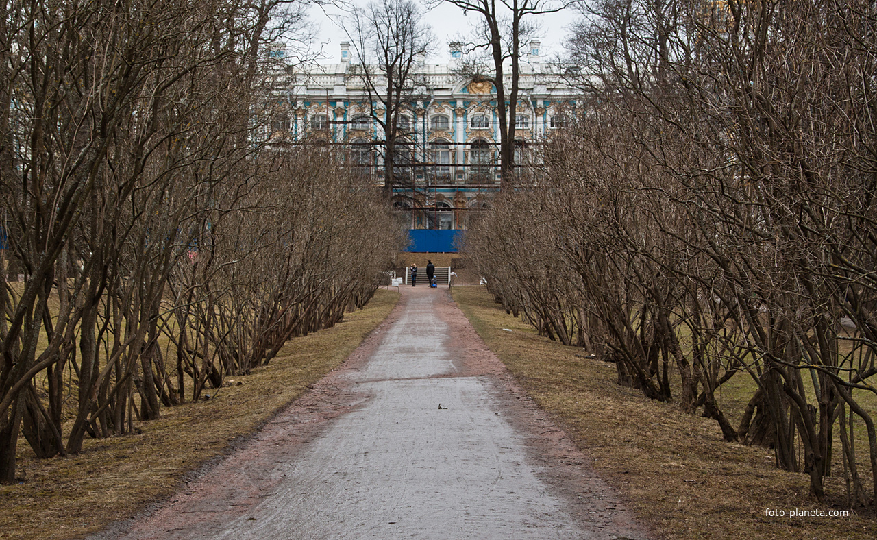 Екатерининский парк