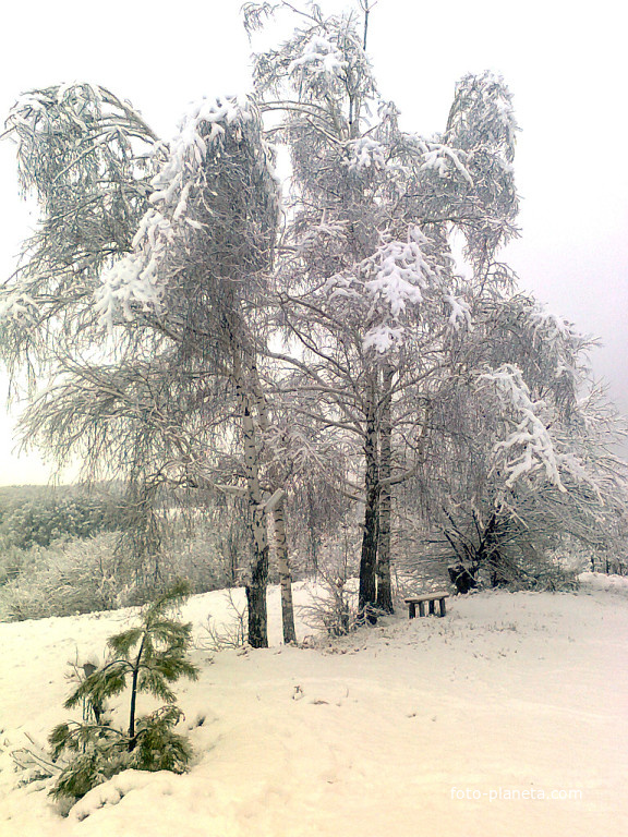 Зимой на хуторе Ситное