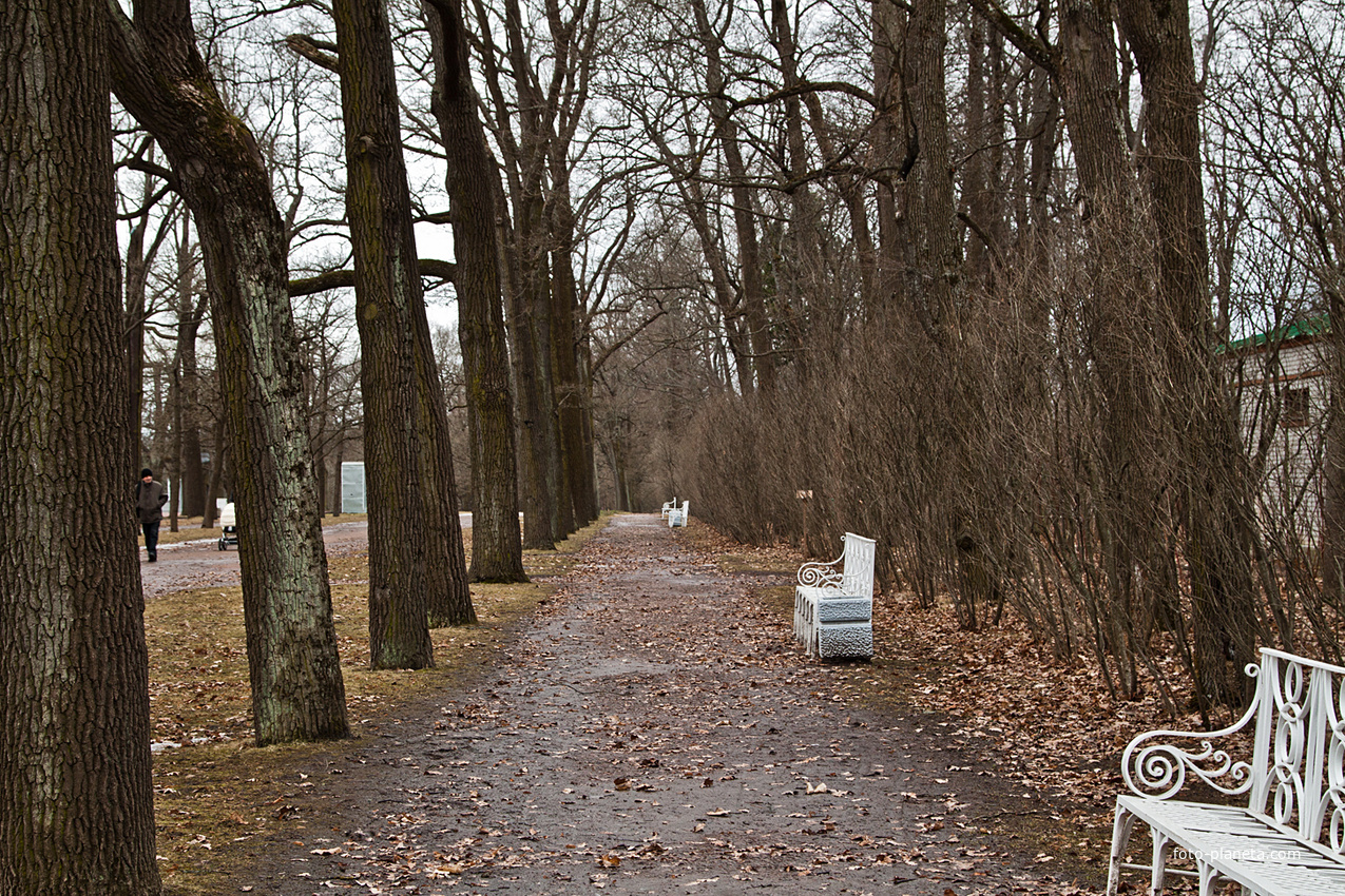 Рамповая аллея