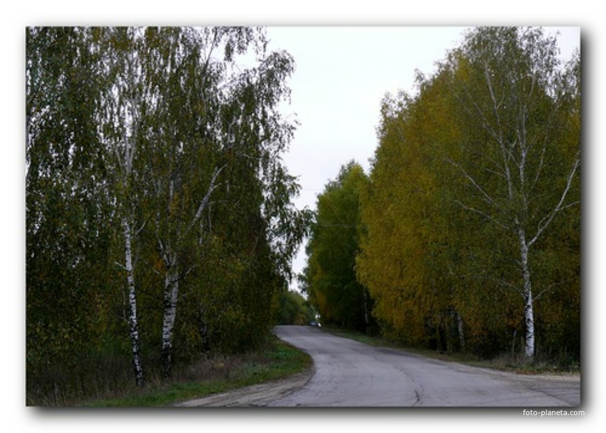 Черновское, дорога на деревню от с. Филинское