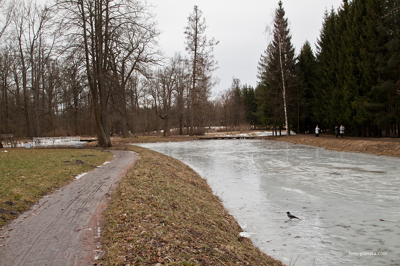 Верхние прудки