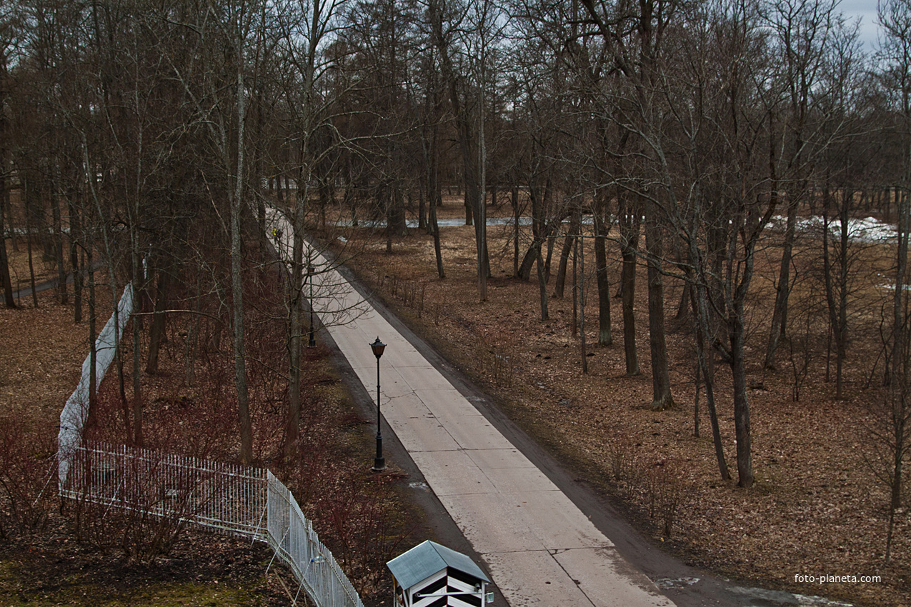 Подкапризовая дорога