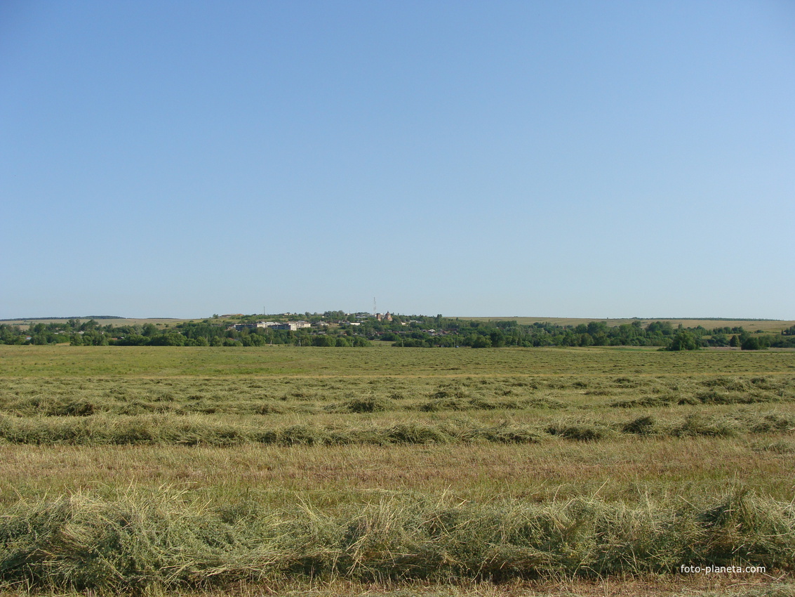 с.Силино.Валки скошенной травы, какая плодородная земля!